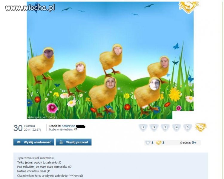 Kurczaczki sobie na nk były i się wiochy dorobiły..