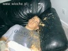 Party hard