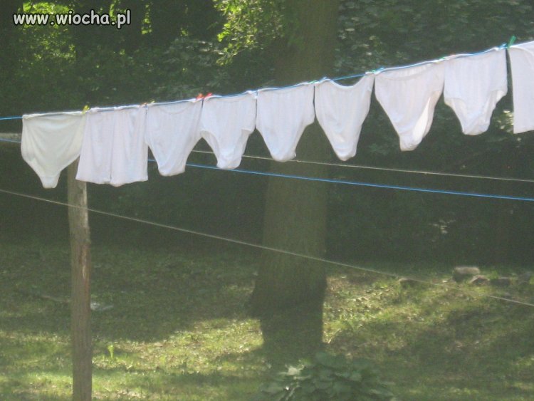 Kobieca kolekcja