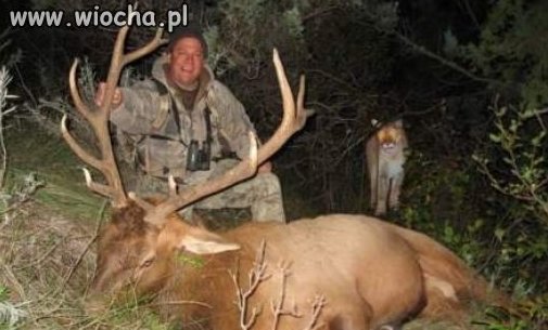 Fota super