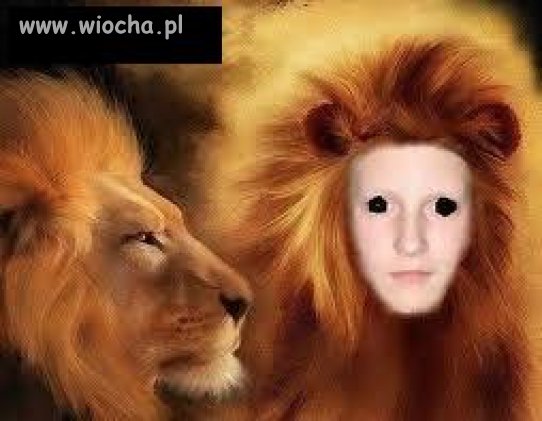 Mistrz photoszopa :)