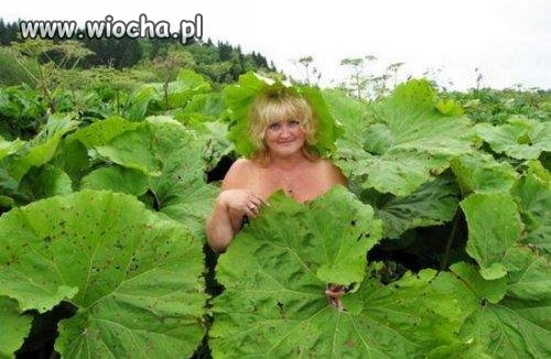 A kuku tu jestem