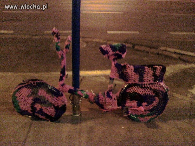 Sweterek z kocich jąderek