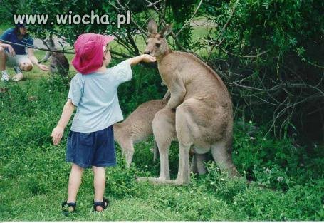 Zboczeńce