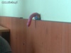 Moja lekcja plastyki