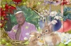 Heniek i jego króliki 