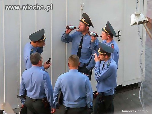 Pies psa pogania...