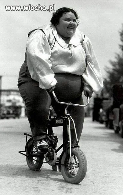 Mój rower