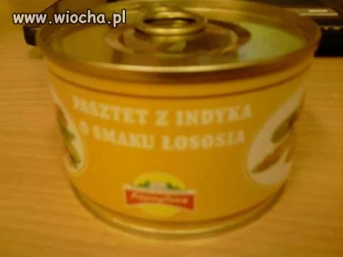 Pasztet z INDYKA
