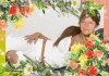 Photoshop