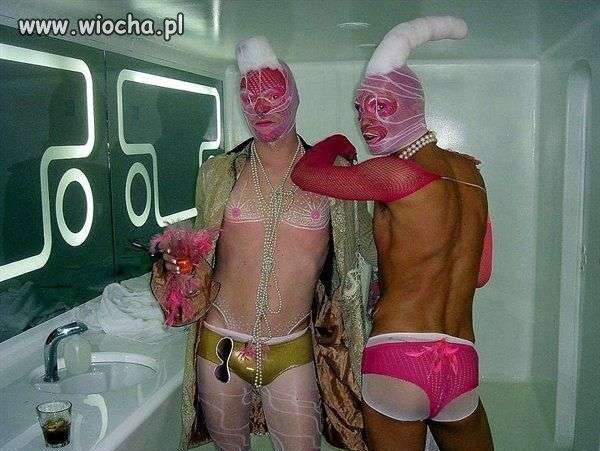Koczkodany