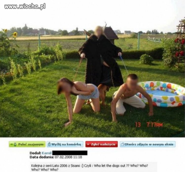 Wakacje z sisami