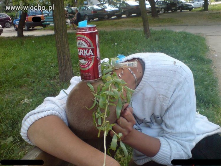 Idealne zdjęcie