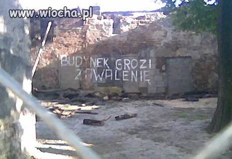 Zdzichu