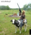 Cowboy 