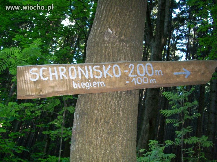 Na Biskupią Kope.