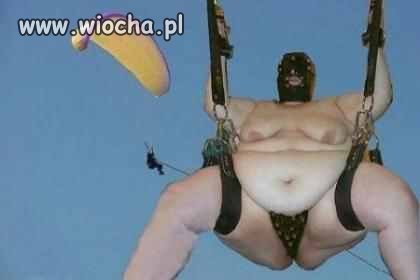 I kto gadał, że wieloryby nie latają