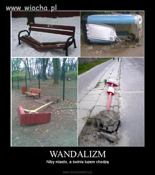 Pozdrawiają 