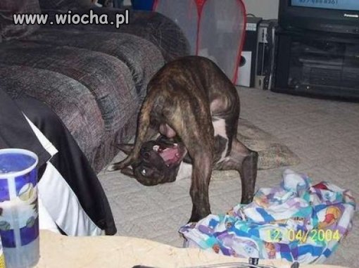 Kto powiedział