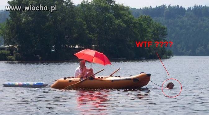 Prawie jak koń pociągowy xD