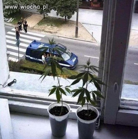 Wszędzie dobrze ale w domu najlepiej