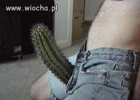 Która chętna?