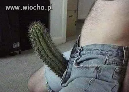 Która chętna?