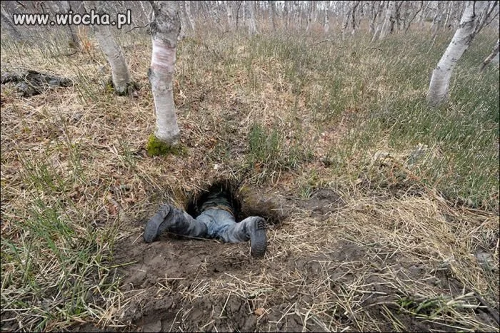 Może szuka papu ??? 