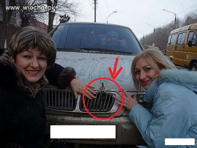 Sweet zdjęcie..