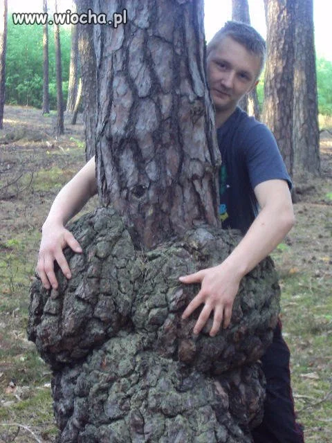 To że ma dużego ...