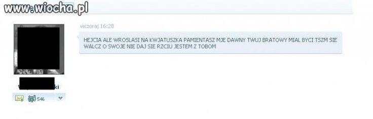 Mistrz ortografii na nk 