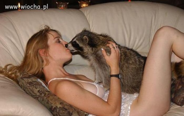 WTF ???