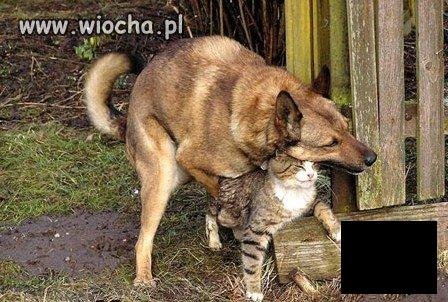 Jak przyjdzie ochota
