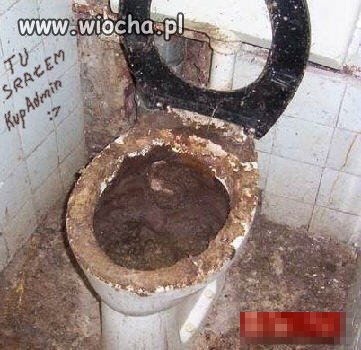 W kiblu bin ladena
