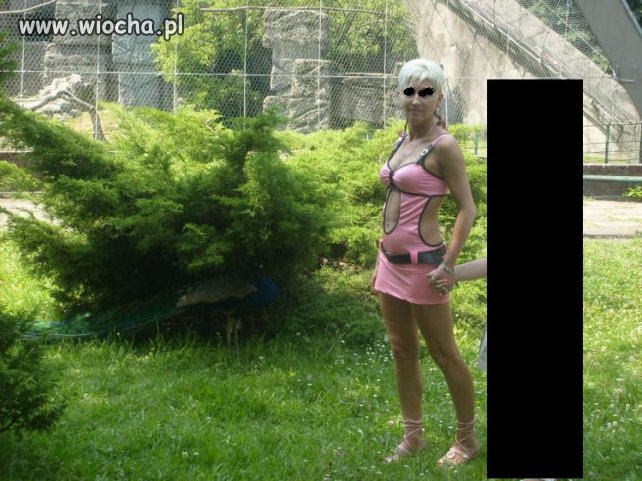 Rodzinny wypad do Zoo...
