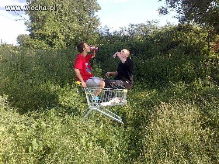 Lans w wózku