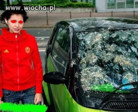 JUŻ NIGDY NIE ZAPARKUJE POD DRZEWEM
