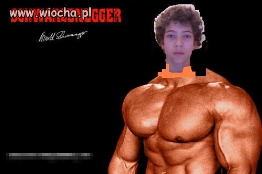 Schwarzenegger