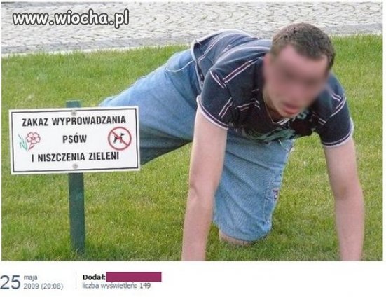 Zakaz wyprowadzania psów.