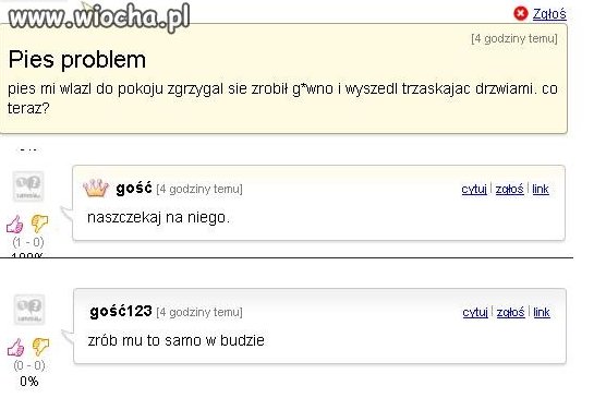 Niesworny piesek.