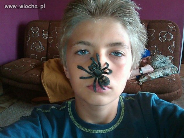 Pająk na twarzy...i ta babcia w tle...