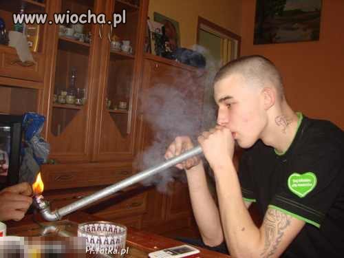 Jaracz trawy
