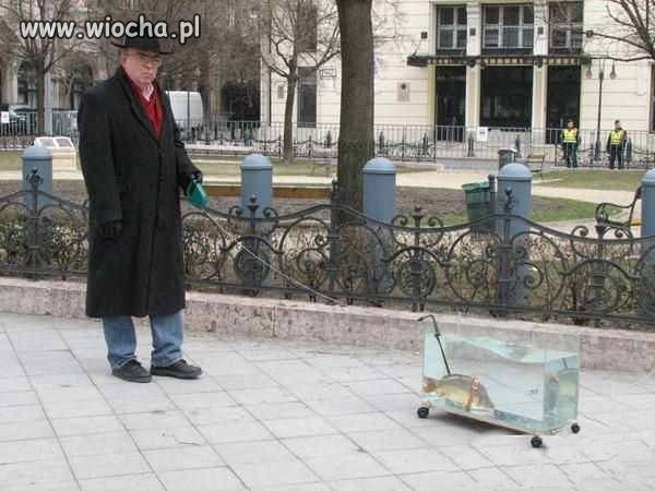 Albo debil, albo geniusz?