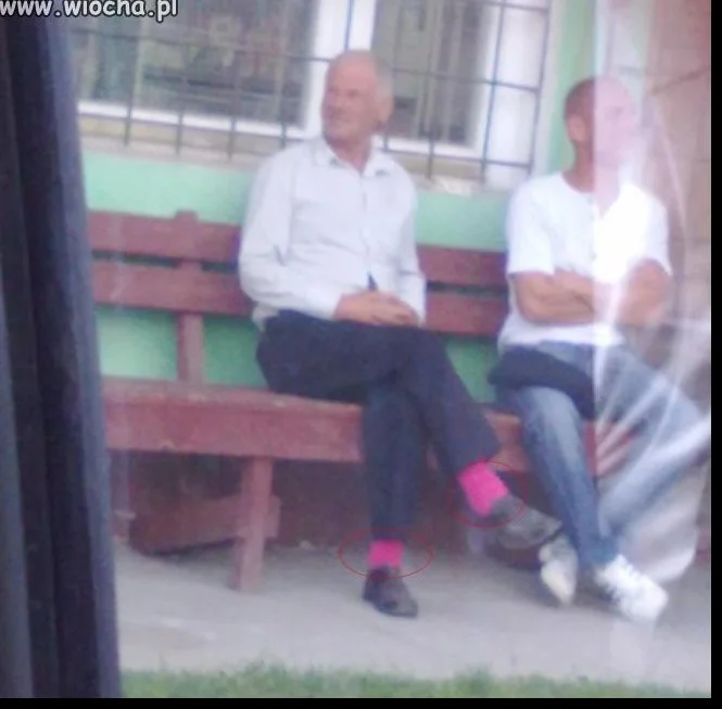 Na ławce po sumie...