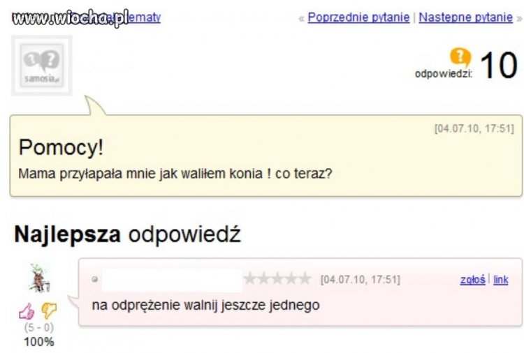 Biedne konie...