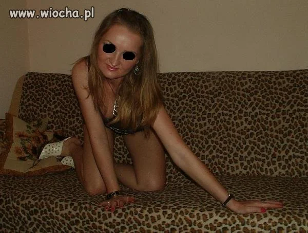Kocica