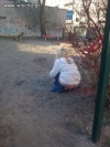 Plac zabaw dla dzieci...
