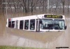 Autobus w tej chwili