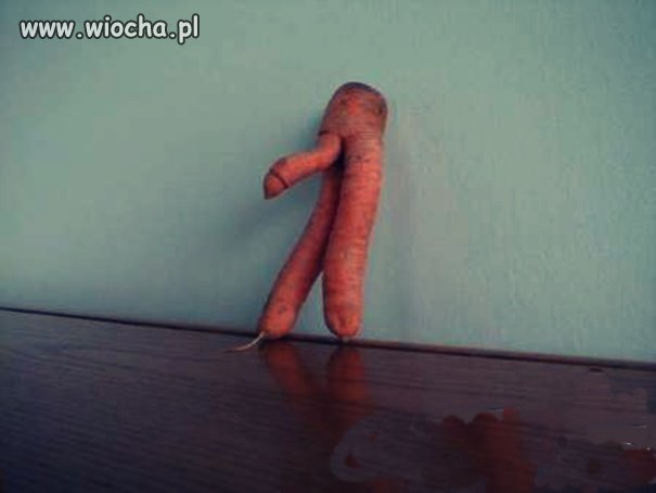 No marchewka jak marchewka