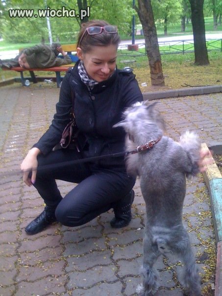 Mistrz...